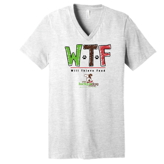 BELLA+CANVAS® Unisex Jersey Short Sleeve V-Neck Tee