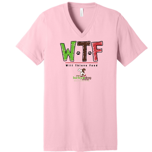 BELLA+CANVAS® Unisex Jersey Short Sleeve V-Neck Tee